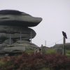 A raven guards the Cheesewring on top of Bodmin Moor