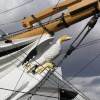 HMS Gannet figurehead at Chatham Naval Dockyard