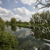 River Nene walk