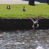Chasing triple