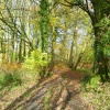 Hurst Green