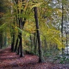 Blandford Forum in Dorset