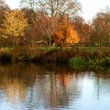 The lake at Nidd