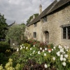 Cottage garden
