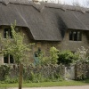 Village cottages