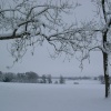 Cricket Field, Culworth