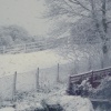 From my bedroom window