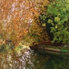 Near Warwick Castle