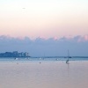 View of Exmouth Quay from Powderham