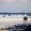 View towards Dawlish Warren from the railway line at Powderham