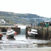 Boats in the Harbour