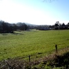 The Avenue