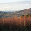 Luxborough area
