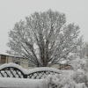 Winter comes to Altrincham