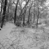 Taylor Park snow