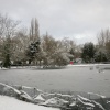 Frozen pond