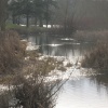 Blenheim Palace grounds