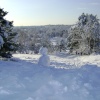Snowman at Frensham Common
