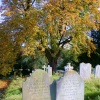 Churchyard