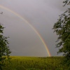 After a thunderstorm