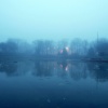 Frozen Pond In Fog