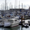 Sea of mast's.