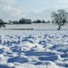 Snowy field
