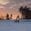 Trudging home in the snow