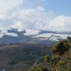 Exmoor