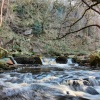 North Yorkshire Moors 6