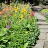 A sunny day in June at Newby Hall gardens