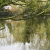 Wingfield Castle Pond