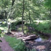 Babbling Brook