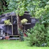 Spotted in the trees.