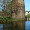 Cow Tower