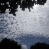 Clouds at Dawlish