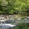 Spitchwick, Dartmoor.
