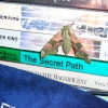 I wondered where my books were