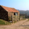 Rosedale Barn