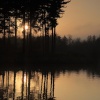 Wind ripples at Center Parcs
