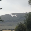 White horse