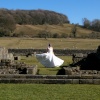 Wedding at Sawley Abbey