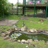 RSPB Fairburn Ings