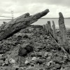 Humber Estuary 4