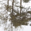 Reflections