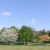 Valley Gardens Spring 2010