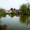 The Village Pond