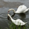 Canal
