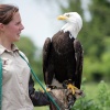 The Hawk Conservancy, Weyhill, Hampshire