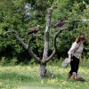 The Hawk Conservancy, Weyhill, Hampshire
